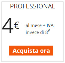 Versione Professional - One Minute Site