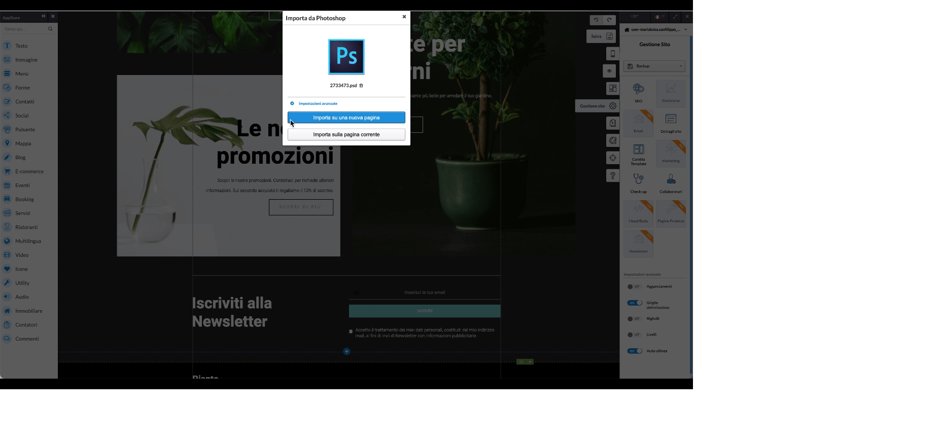 Crea una pagina web con Photoshop importazione